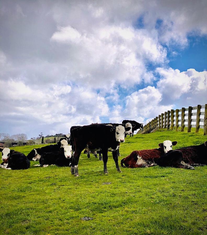 Lifestyle Guesthouse Dairy Flat Buitenkant foto